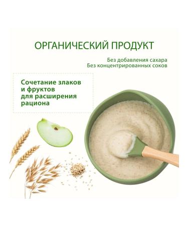 Hipp Oatmeal porridge "apple" dairy from 6 months 2x250g - Buy Online on GoSupps.com