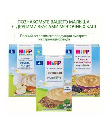 Hipp Oatmeal porridge "apple" dairy from 6 months 2x250g - Buy Online on GoSupps.com