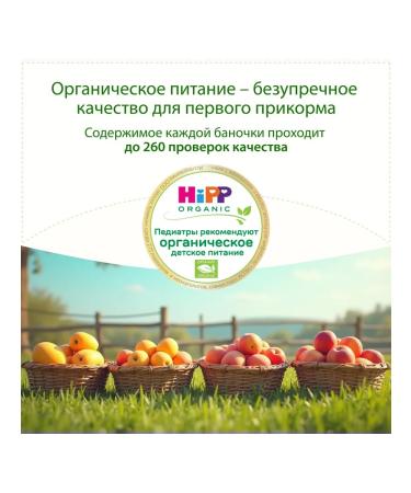 Hipp "Fruit dessert with mangoes" from 6 months 6x100g - Buy Online on GoSupps.com