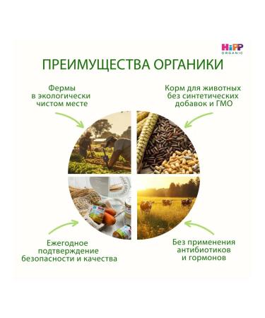 Hipp "Vegetable cream-soup with beef" from 6 months 6x190g - Buy Online on GoSupps.com