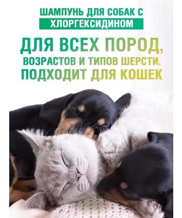 ECOZAVR Glorhexidine dog shampoo 2% - Buy Online on GoSupps.com