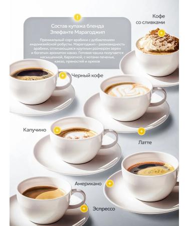 LAST WISH Elephante Maragojip Arabica Robust 1 kg coffee coffee - Buy Online on GoSupps.com