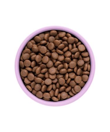KARMY Feed for kittens with turkey 1.5 kg - Buy Online on GoSupps.com