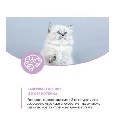 KARMY Feed for kittens with turkey 1.5 kg - Buy Online on GoSupps.com