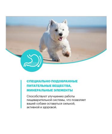 KARMY Feed for dogs of small breeds lambs - Buy Online on GoSupps.com
