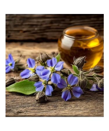 DESTEK Oil cucumber drill 20 ml - Buy Online on GoSupps.com