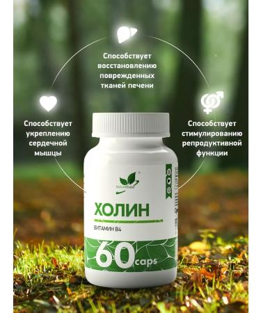 NaturalSupp Bad Kholin Bartrate Vitamin B4 240 mg for liver 60 capsules - Buy Online on GoSupps.com