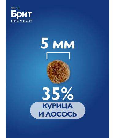 Brit Feed for kittens dry 2 kg - Buy Online on GoSupps.com