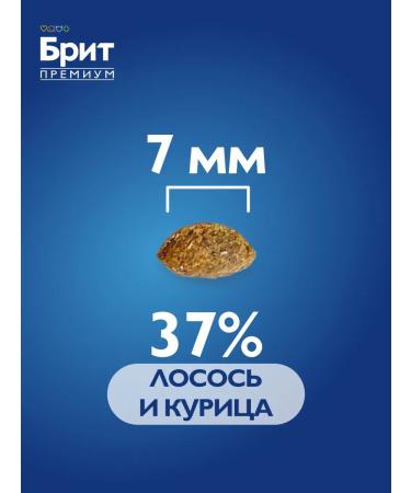 Brit Sterilized cats dry 0.4 kg - Buy Online on GoSupps.com