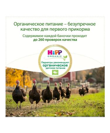 Hipp Mashed meat "turkey" from 6 months 6x80g - Buy Online on GoSupps.com