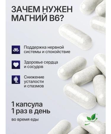NaturalSupp Dad Magnesium+B6 193 mg 6 mg from stress 60 capsules - Buy Online on GoSupps.com