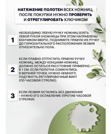 Charites Scissors hairdressers straight pink 5.5 for hair cutting - Buy Online on GoSupps.com