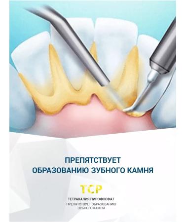 Stomatol A set of toothpaste in a box of 4 pcs 100 g - Buy Online on GoSupps.com