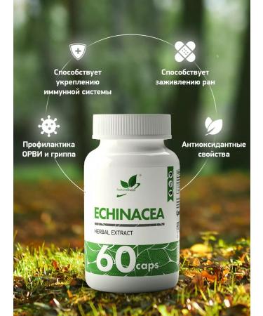 NaturalSupp Echinacea root extract 500 mg for immunity 60 capsules - Buy Online on GoSupps.com