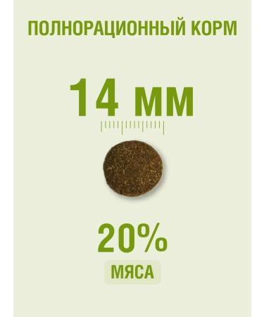 Darsi Feed for active dogs for all breeds 2.5 kg - Buy Online on GoSupps.com