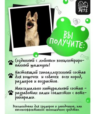 Witty Pets Antiparasitic shampoo from fleas and ticks - Buy Online on GoSupps.com