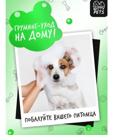 Witty Pets Antiparasitic shampoo from fleas and ticks - Buy Online on GoSupps.com