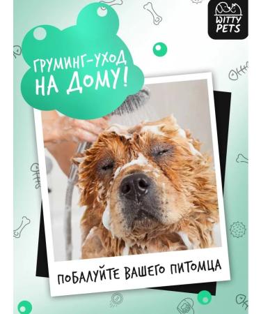 Witty Pets Universal shampoo for cats and dogs - Buy Online on GoSupps.com
