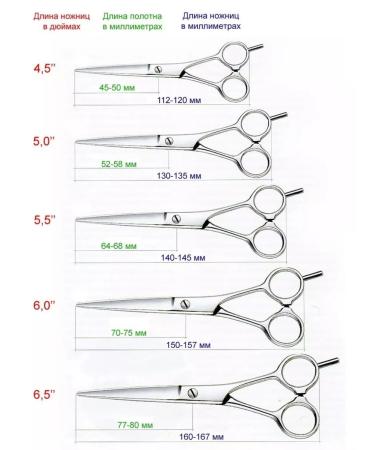 Charites Black Filtering Black Scissors for Hair Cricet - Buy Online on GoSupps.com
