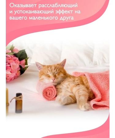 KissMeowWoof Pet wash - Buy Online on GoSupps.com