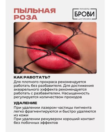 Eyebrows Permanent Makeup Pigment dusty rose from pmu eyebrows for pm tattoo and lip tattoo - Buy Online on GoSupps.com