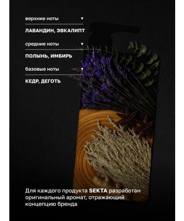 Hair Sect CIPA Toning Shampoo - Buy Online on GoSupps.com