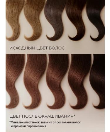 Zeitun Hair for hair brown natural with basma - Buy Online on GoSupps.com