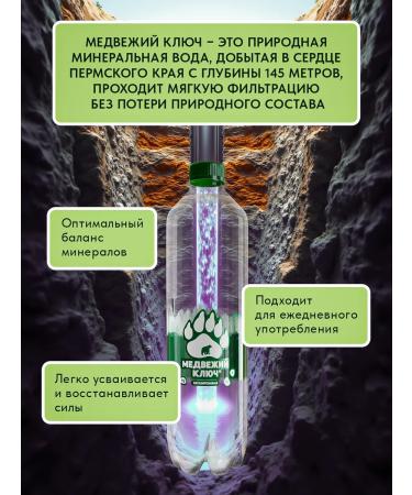 Bear Key Mineral water with magnesium non -carbonated 12pcs of 0.5 liters - Buy Online on GoSupps.com