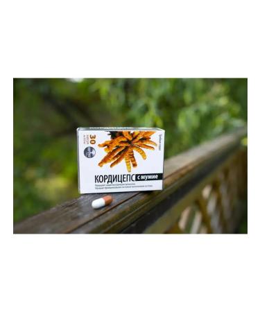 Alfit Plus Diet mushroom cordyceps mummy for immunity - Buy Online on GoSupps.com