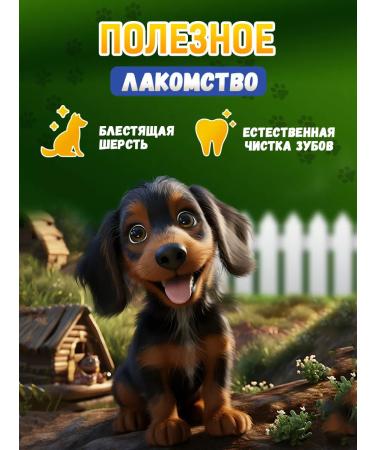 Country delicacies Treats for dogs beef 1 un - Buy Online on GoSupps.com