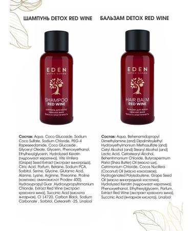 EDEN Set of road shampoo 30 ml balm 30 ml toothpaste - Buy Online on GoSupps.com