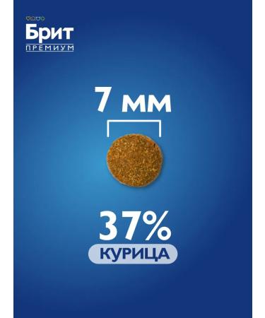 Brit Cat food dry adult cats 2 kg - Buy Online on GoSupps.com