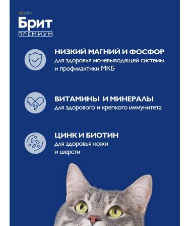 Brit Cat food dry adult cats 2 kg - Buy Online on GoSupps.com