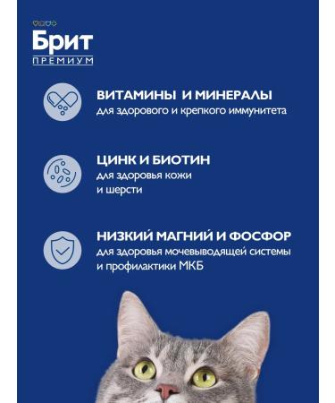 Brit Feed for kittens dry 0.4 kg - Buy Online on GoSupps.com