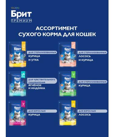 Brit Feed for kittens dry 0.4 kg - Buy Online on GoSupps.com