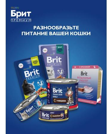 Brit Feed for kittens dry 0.4 kg - Buy Online on GoSupps.com