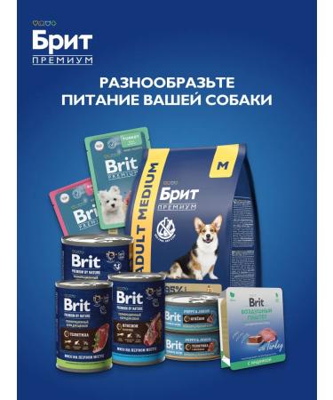 Brit Dog food dry medium rocks 1 kg - Buy Online on GoSupps.com