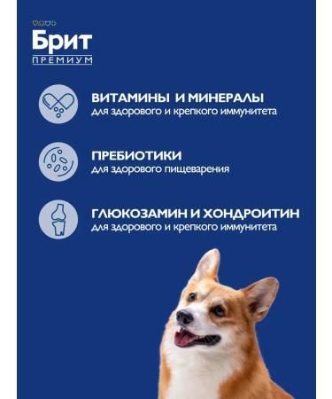 Brit Dog food dry medium rocks 1 kg - Buy Online on GoSupps.com