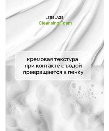 Lebelage Foam for washing the face with mucin of Korea snail 100 ml - Buy Online on GoSupps.com