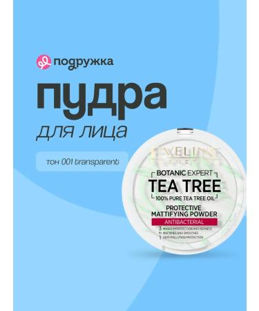 EVELINE Facial powder 3 in 1 antibacterial matting tone 001