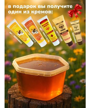 Honey from Islamov's apiary Bashkir floral honey 750 g collection 2025 + gift - Buy Online on GoSupps.com