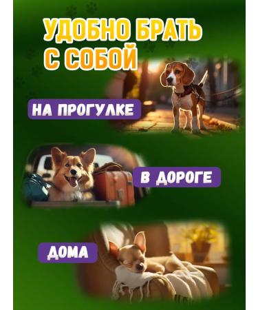 Country delicacies Dog delicities cookies with lamb and pumpkin 1 un - Buy Online on GoSupps.com