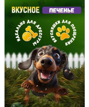 Country delicacies Dog delicities cookies with lamb and pumpkin 1 un - Buy Online on GoSupps.com