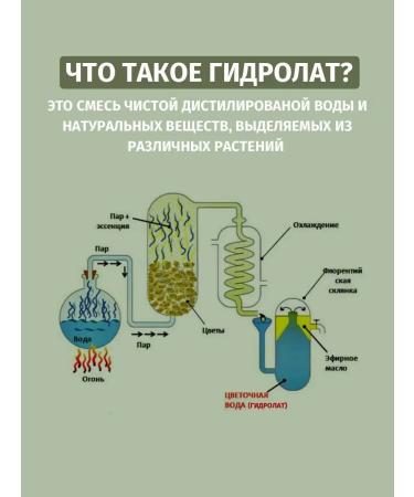 LyutikiCvetochki Hydrolat is bitter wormwood - Buy Online on GoSupps.com