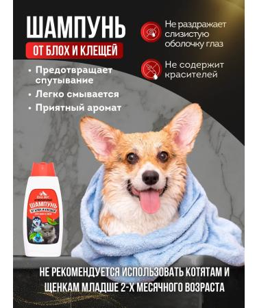 Zoo Joy Shampoo for dogs and cats from fleas and ticks - Buy Online on GoSupps.com