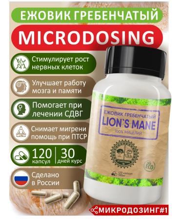 Ethnoherbs Microdosing Ezhovik Combus fungus blackberry 120 capsules