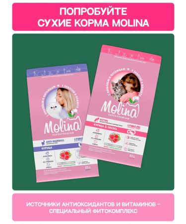 Molina's treat for dogs duck breast 50 g - Buy Online on GoSupps.com