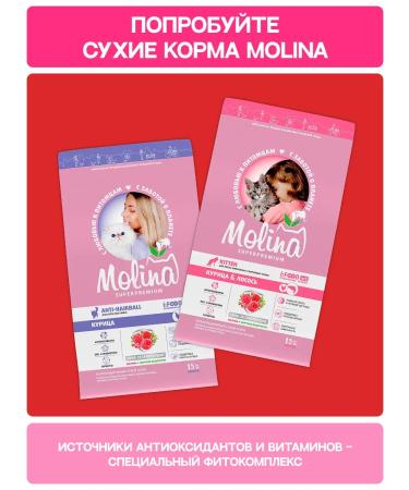 Molina treat for dogs cutting out of lamb 50 g - Buy Online on GoSupps.com