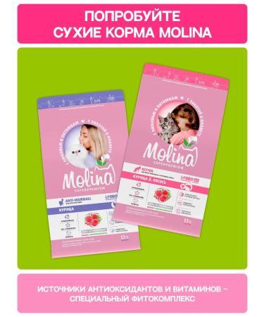 Molina Dog delicities 400 g - Buy Online on GoSupps.com