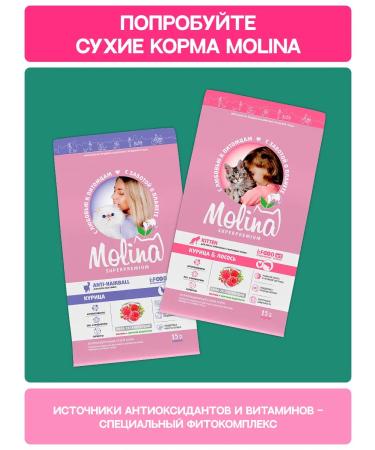 Molina's treat for dogs duck brushwood 50 g - Buy Online on GoSupps.com